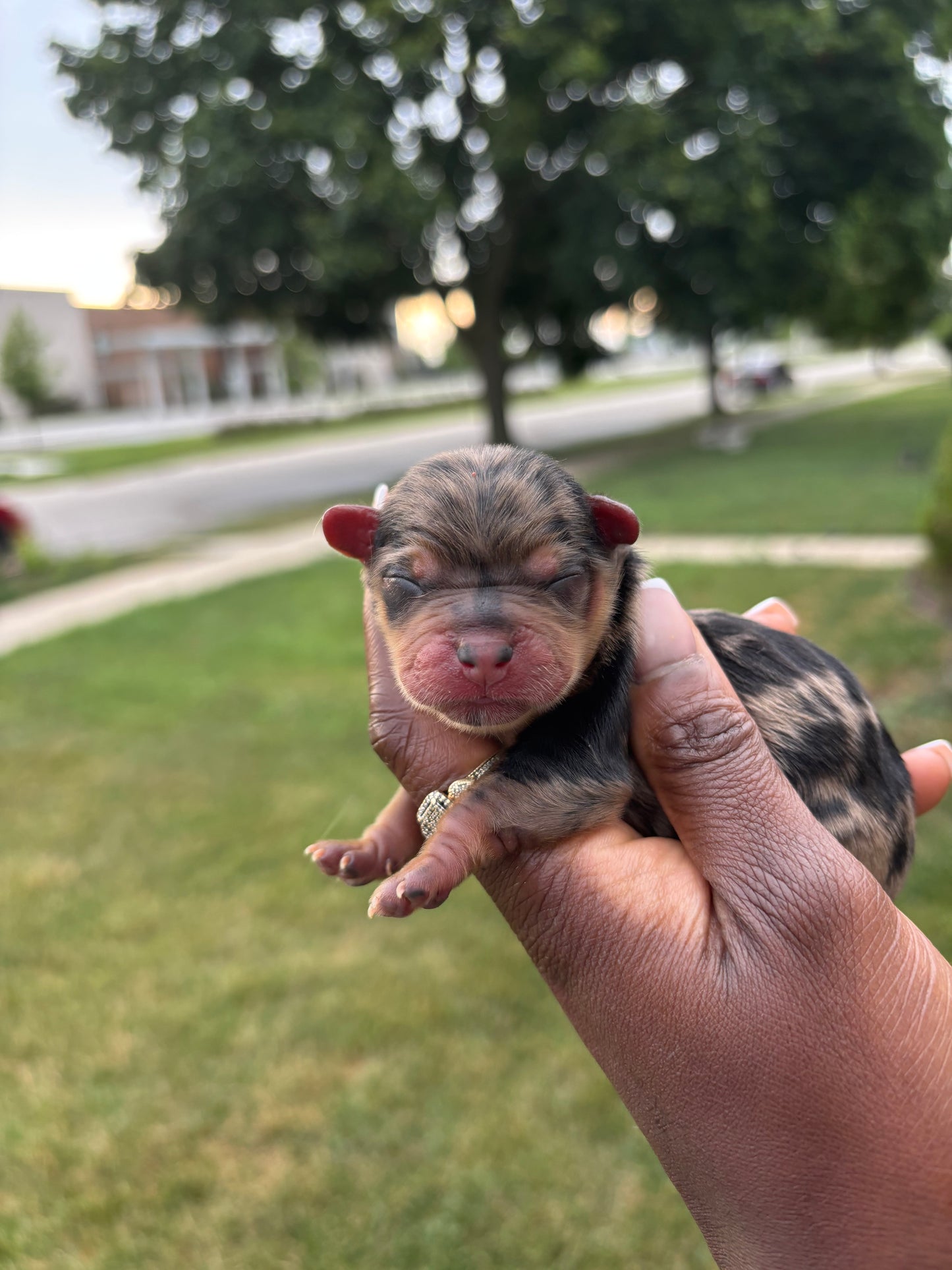 Fatty’ma