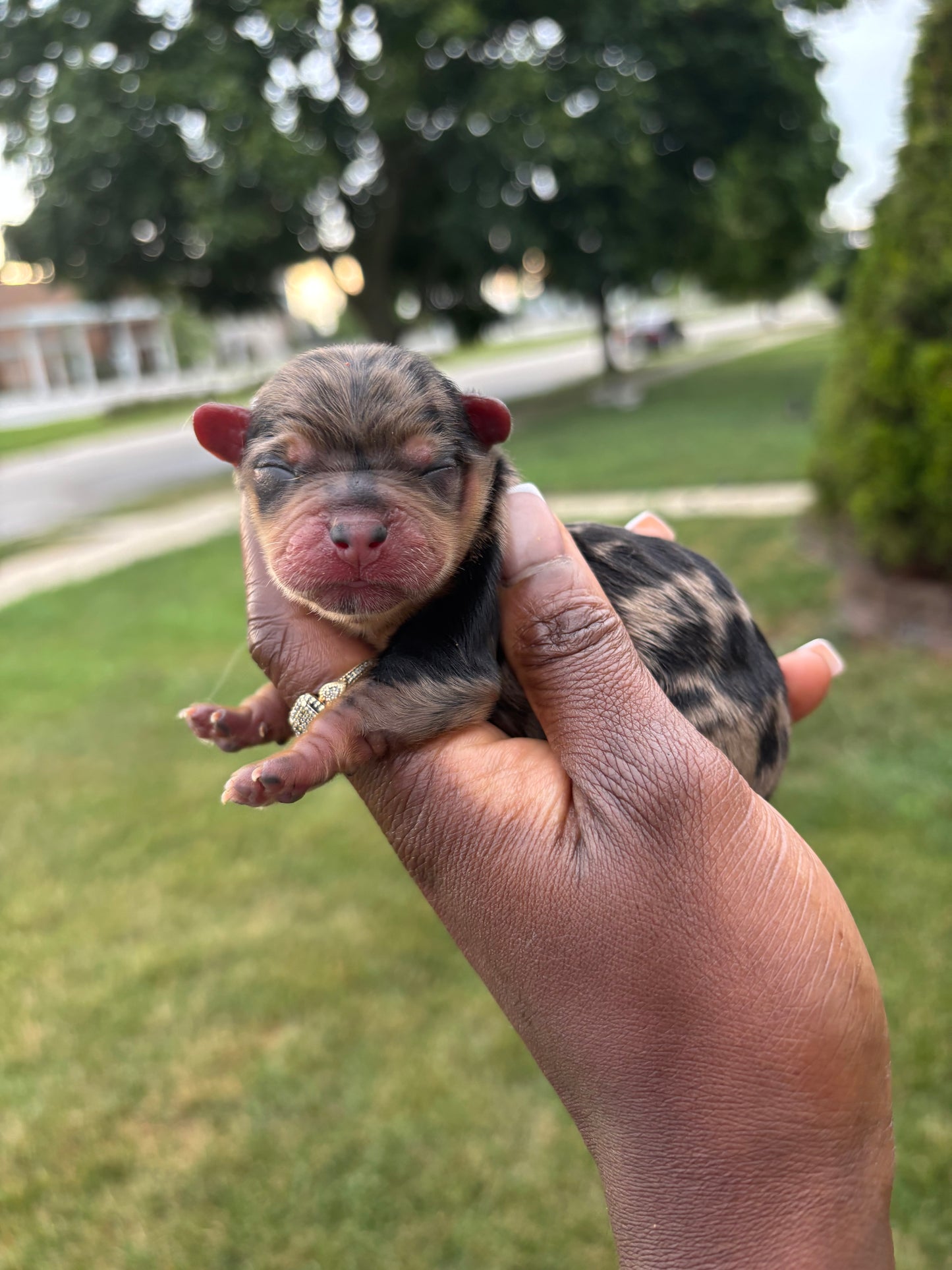 Fatty’ma
