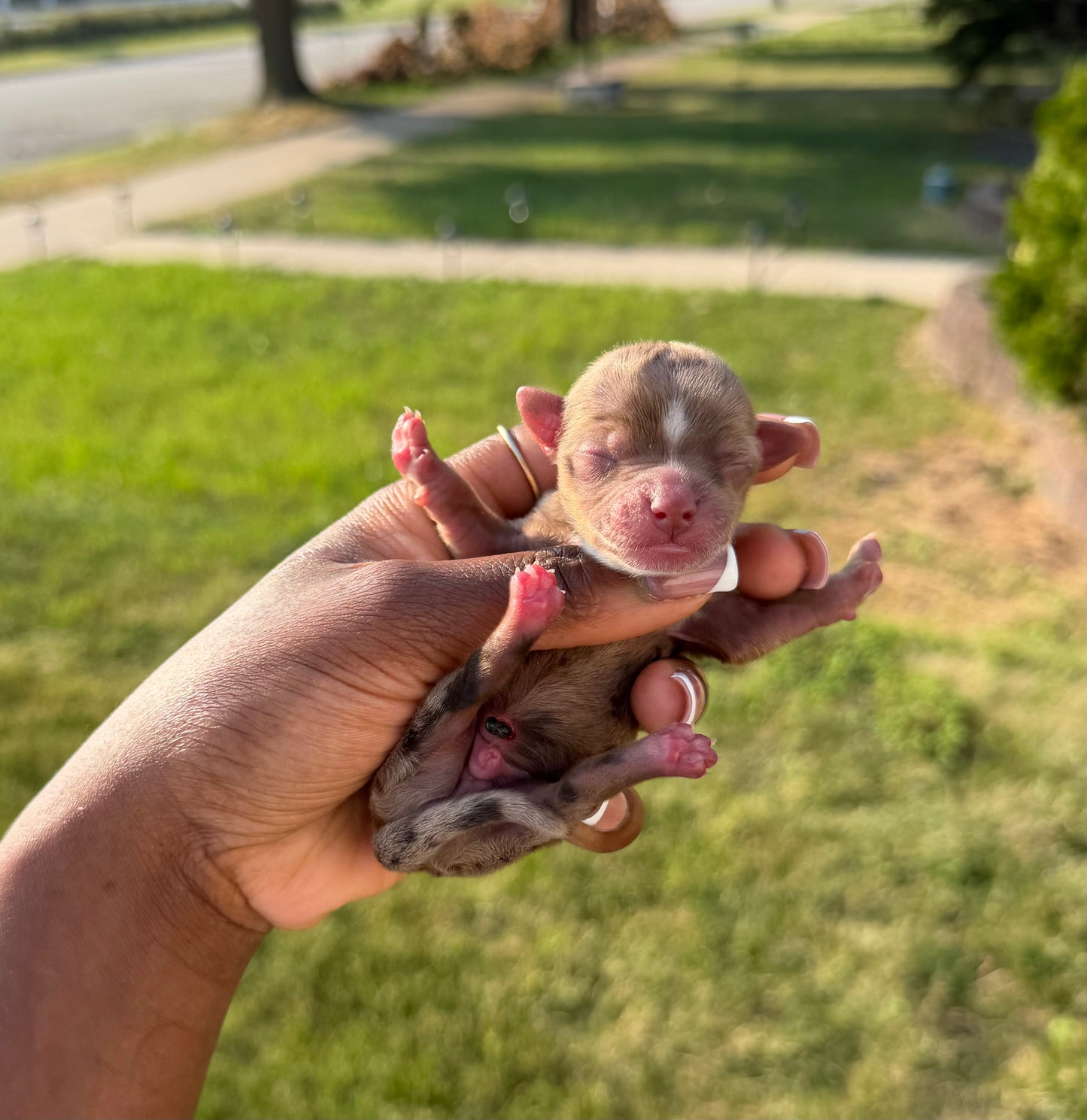 Lil Tux