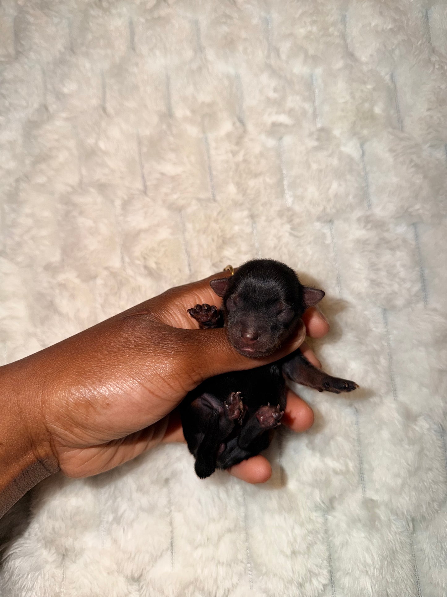 BabyShoe “Micro”