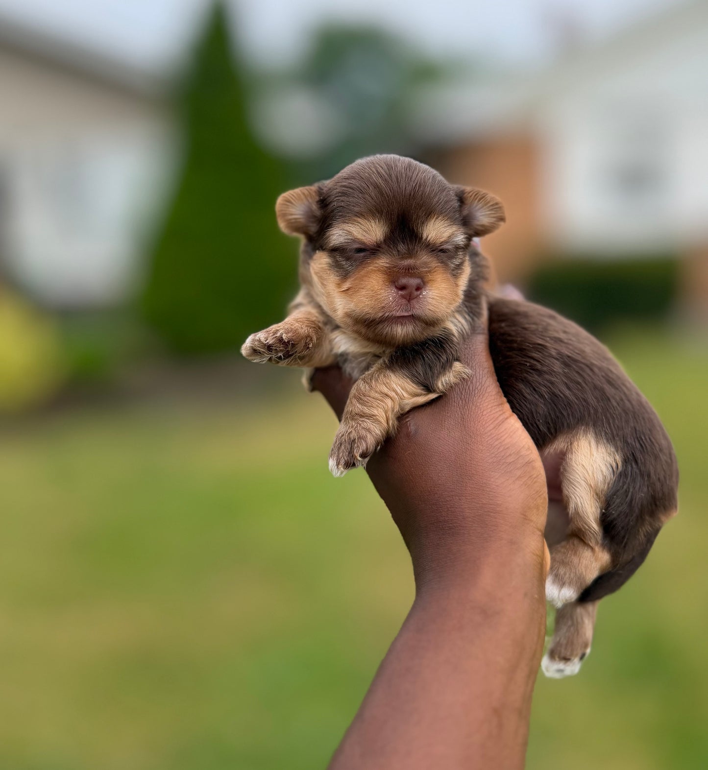 Bolivia