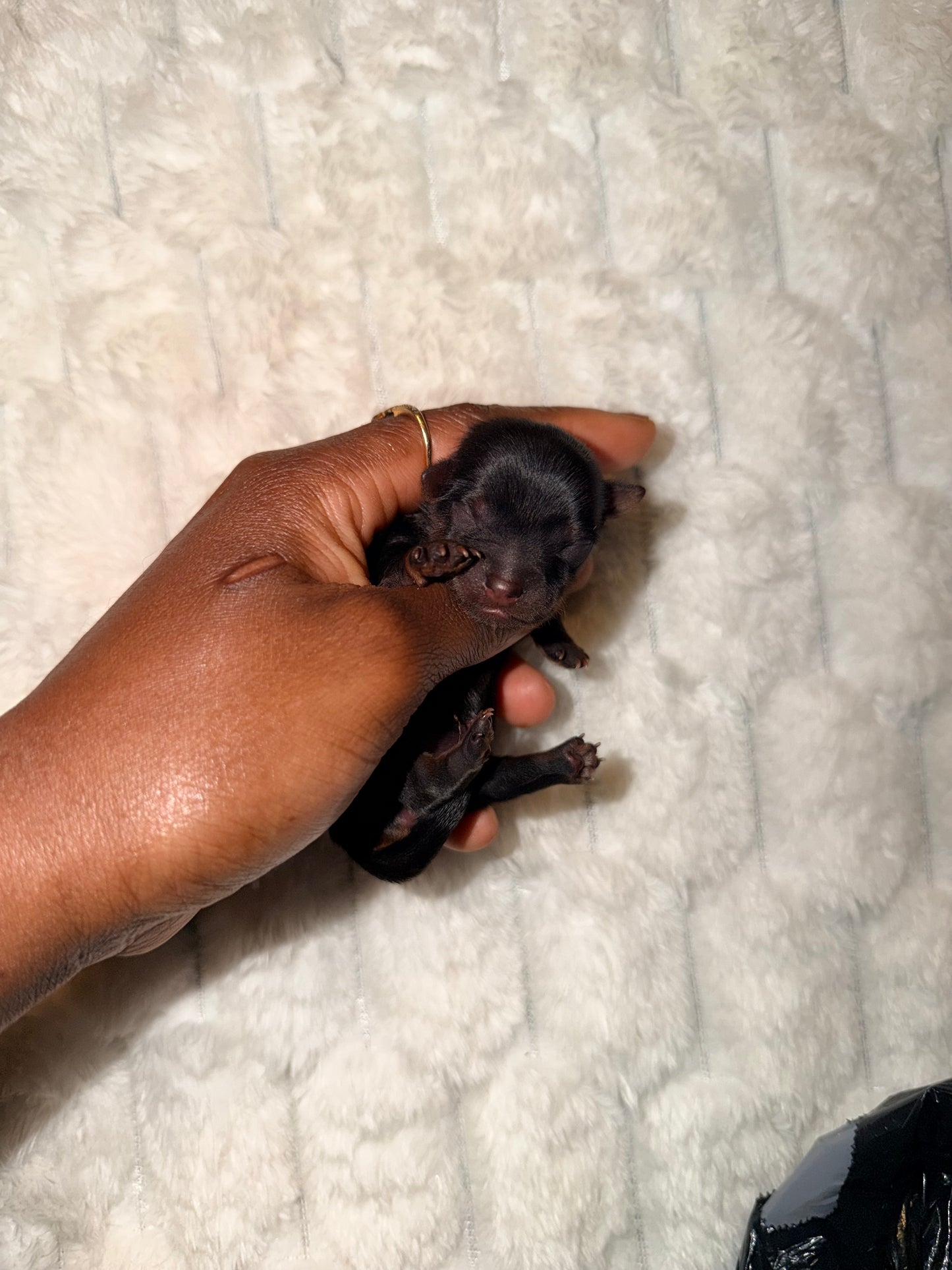 BabyShoe “Micro”