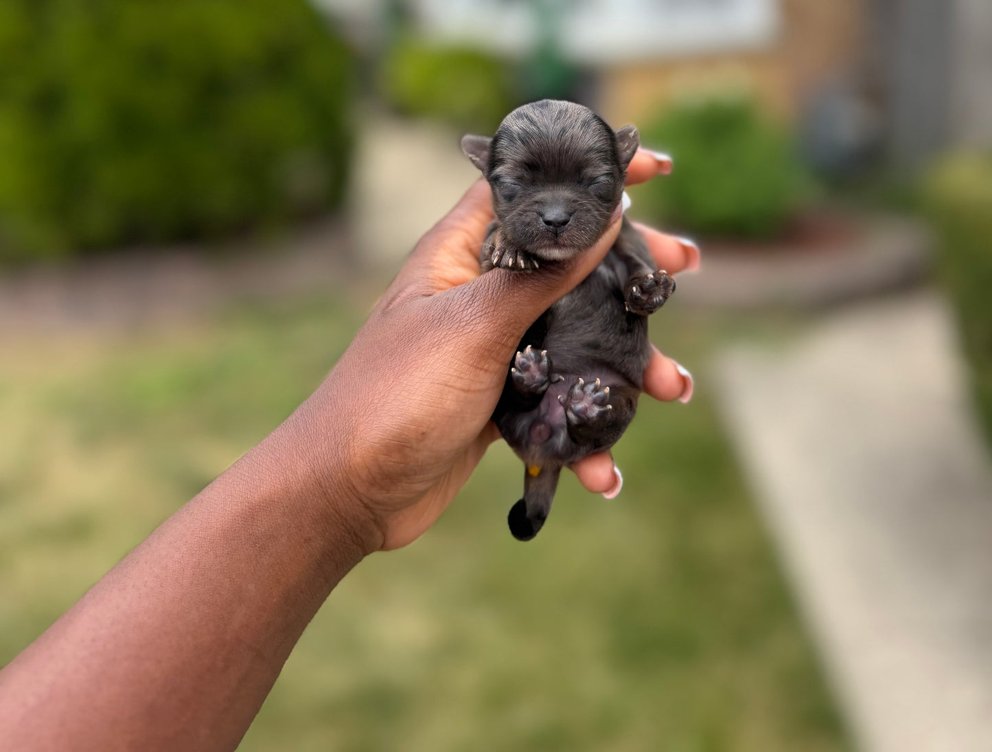Glitter Cake